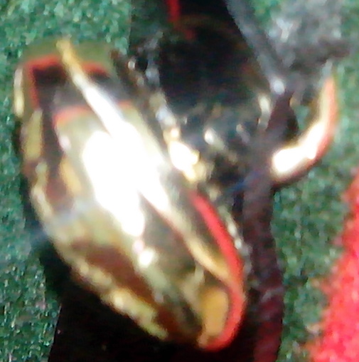 IMGП2