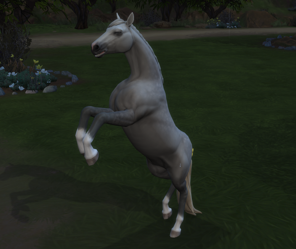 chicory-horse.png