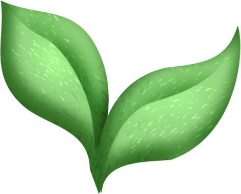 KBK_InTheSpring (142)