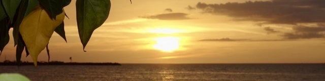 egavi's cover