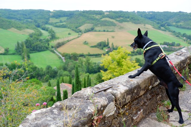 Cordes Sur Ciel y Najac - Sur de Francia 2024 (11)