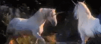 unicorns