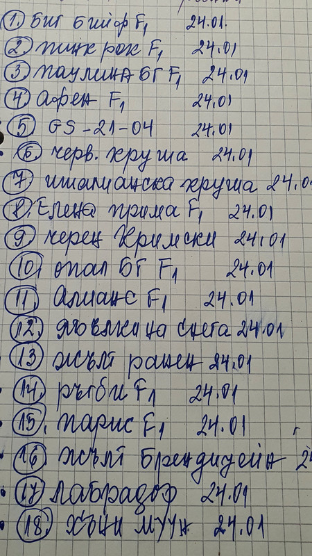 20230124_224954