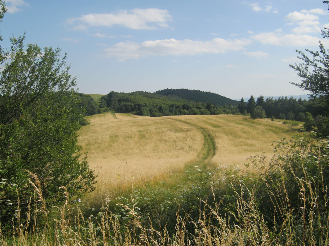 IMG-0178.jpg