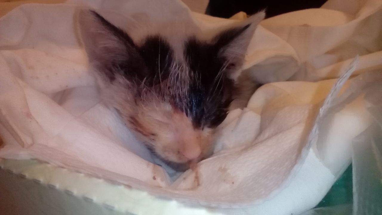 E7BBE807-4E67-4CCE-8623-C529E196566B