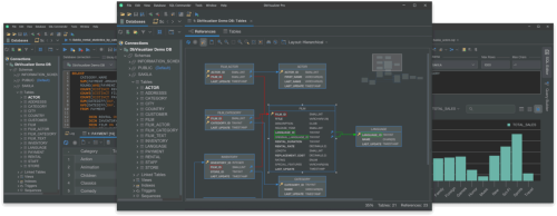 DbVisualizer Pro 24.1.4 (x64)