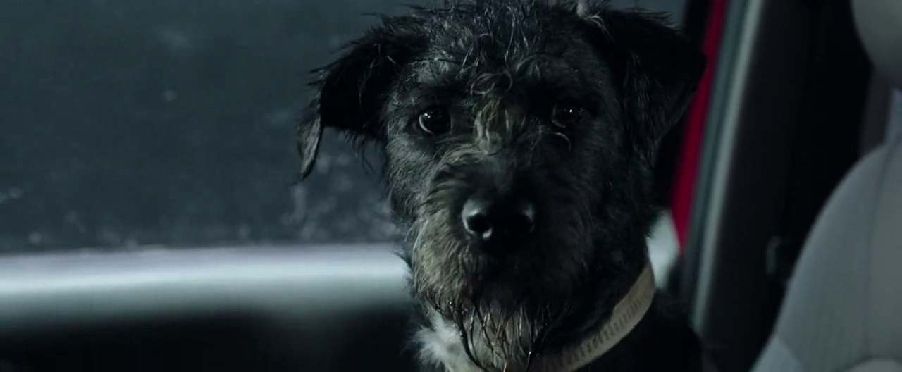 300mbunited.me--00003