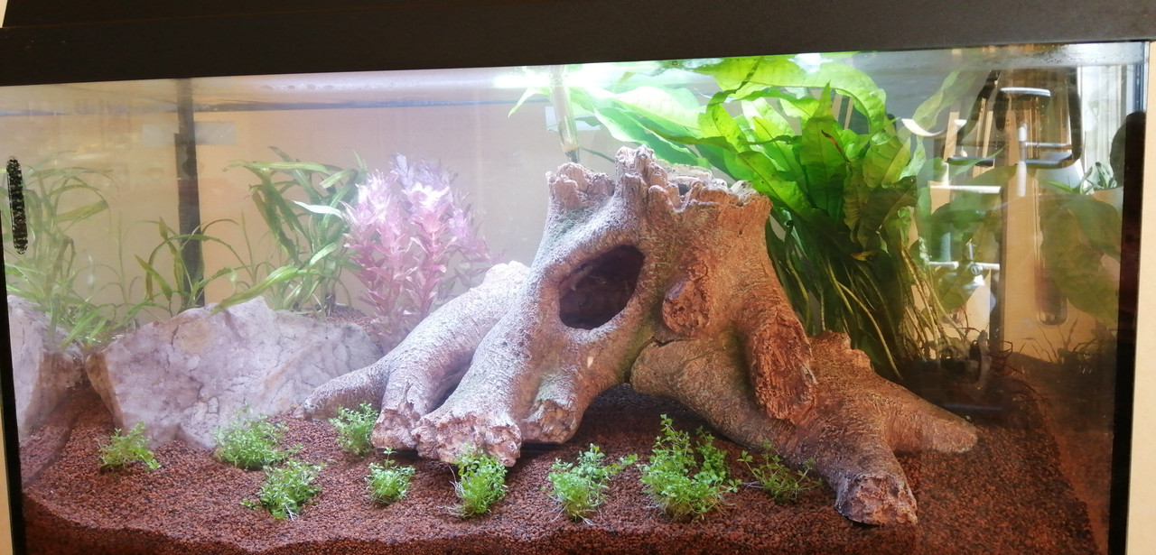 IMG-20190529-WA0000[1]