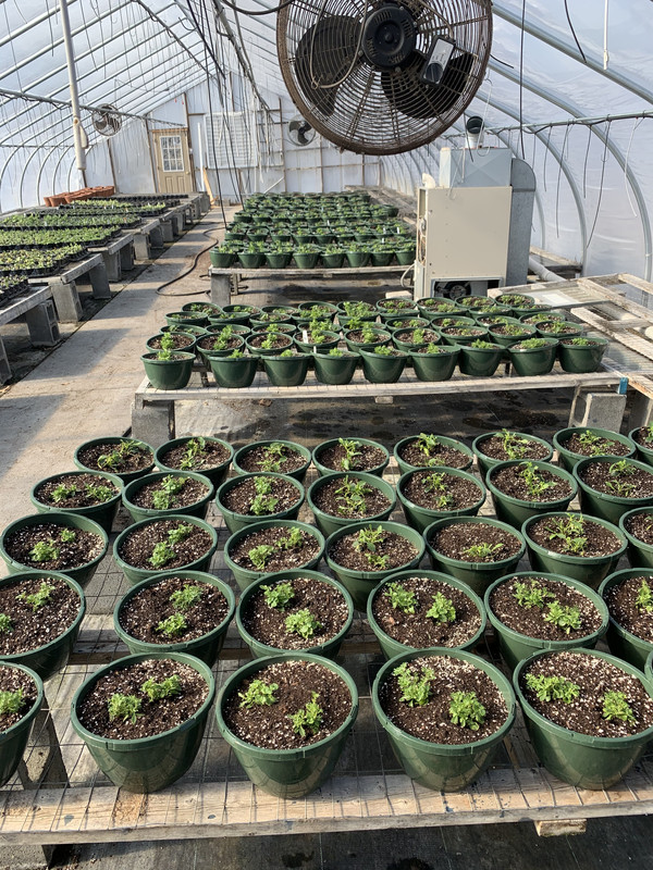 47C42D41-F3E7-44F5-9DAC-65BB0A191A38