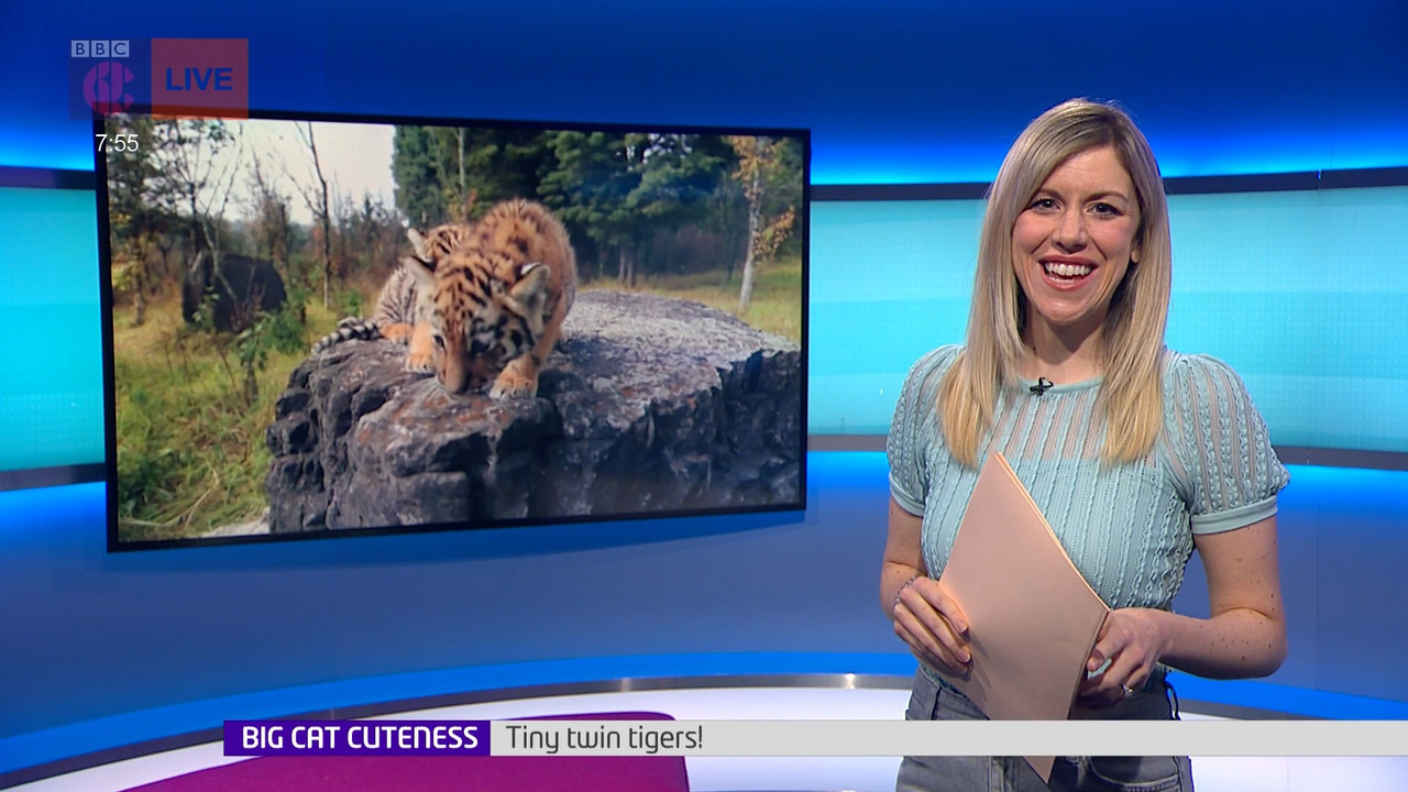 Newsround_20220117_07450800.ts_snapshot_12.01.936