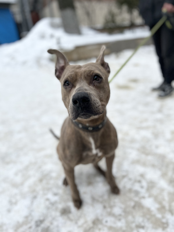 AEEDF40A-2A08-45BB-B3FF-D90D1ACE6271