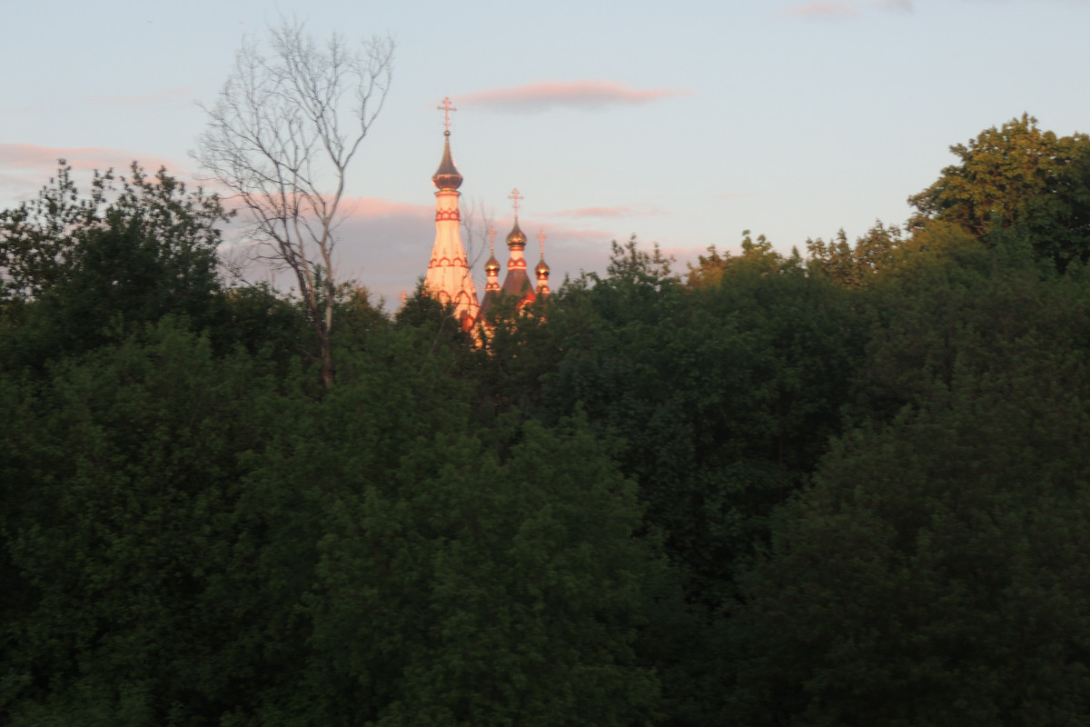 DSCN7124