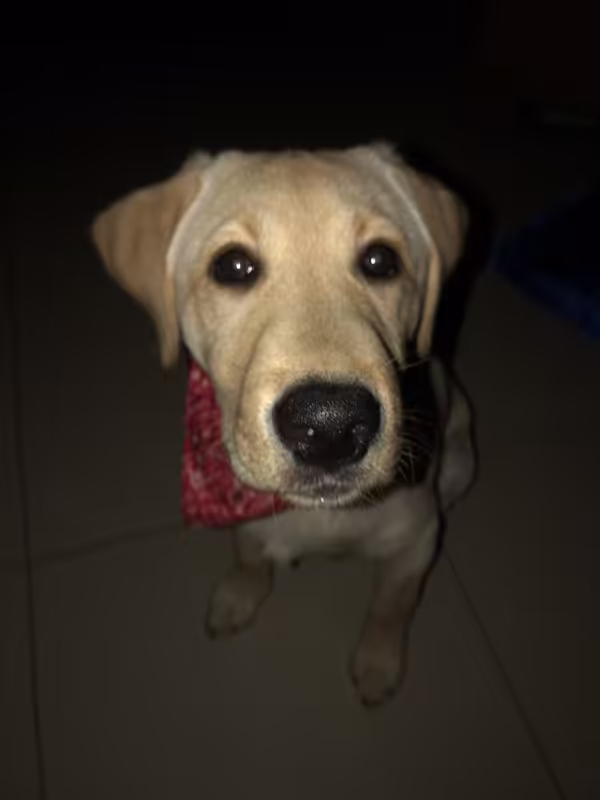 B9A34CCE-3B8E-4565-A35E-7B948193D486