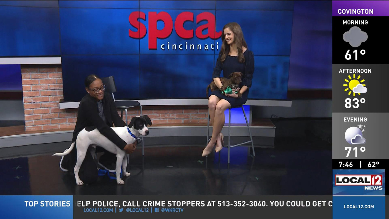 07.30 - 11.00.00 - Good Morning Cincinnati Saturday  ᴺᵉʷ. News covera..._002.ts_snapshot_12.12_[2022