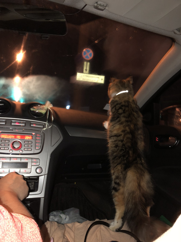 EAC541B7-3395-472F-AD35-7C5BD23B7744