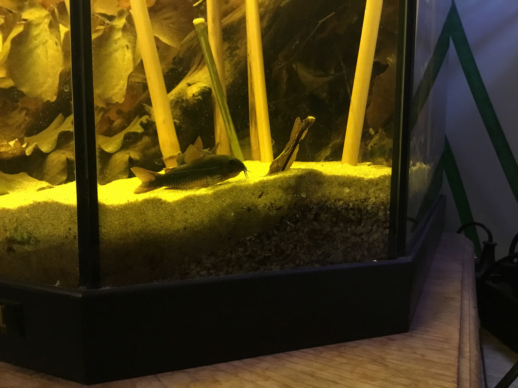 99A51C35-203C-4BD3-BA22-DC26997C73EB