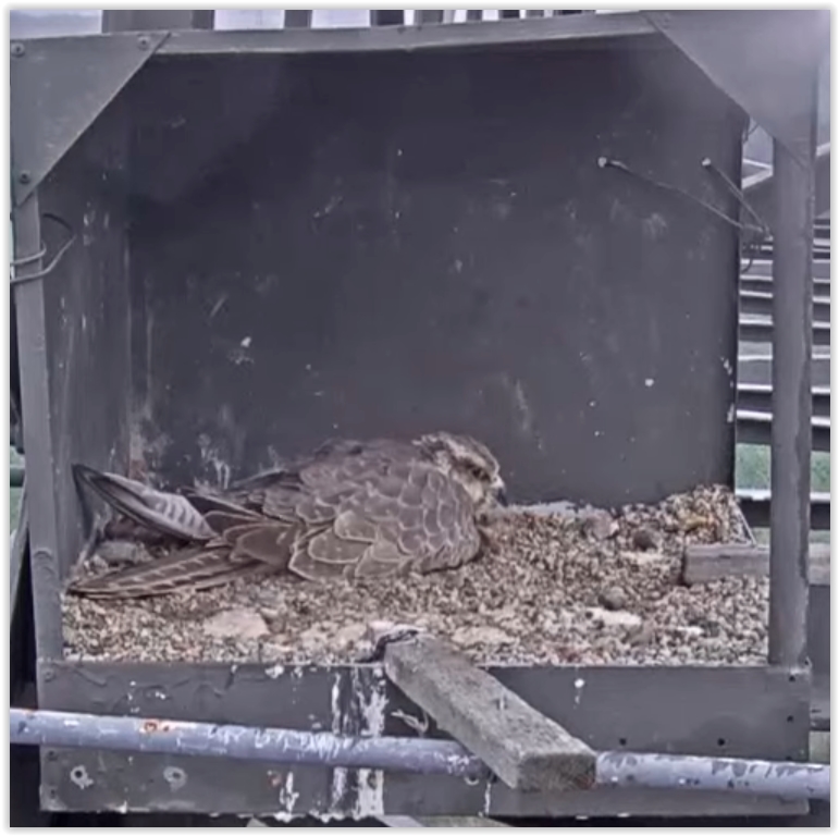 Screen Shot 04-22-22 at 09.17 AM