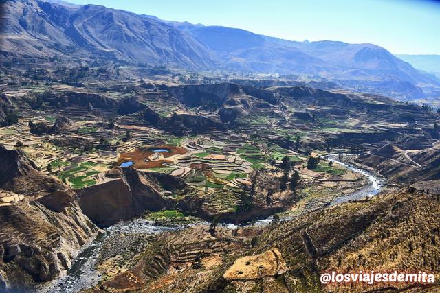 3 SEMANAS EN PERÚ del Amazonas a Machu Picchu 2019 - Blogs de Peru - Día 9. Arequipa Cañon del Colca - El vuelo del Cóndor (7)