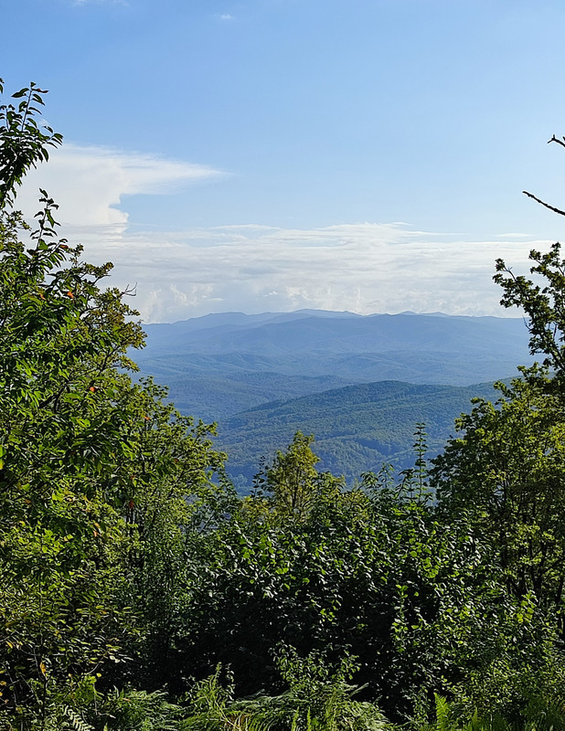 IMG_20220828_125044