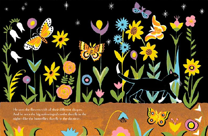 1969_the_cat_at_night