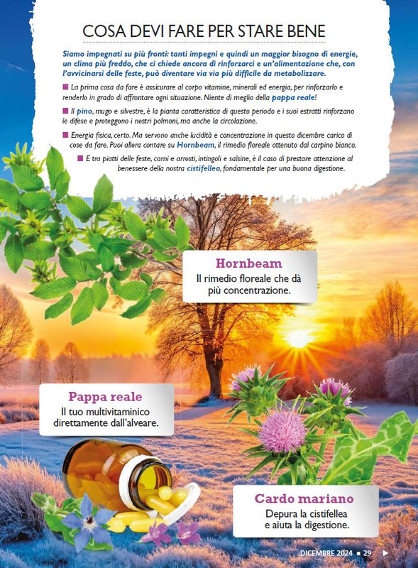 Sal Nat Dic 2024 (2)