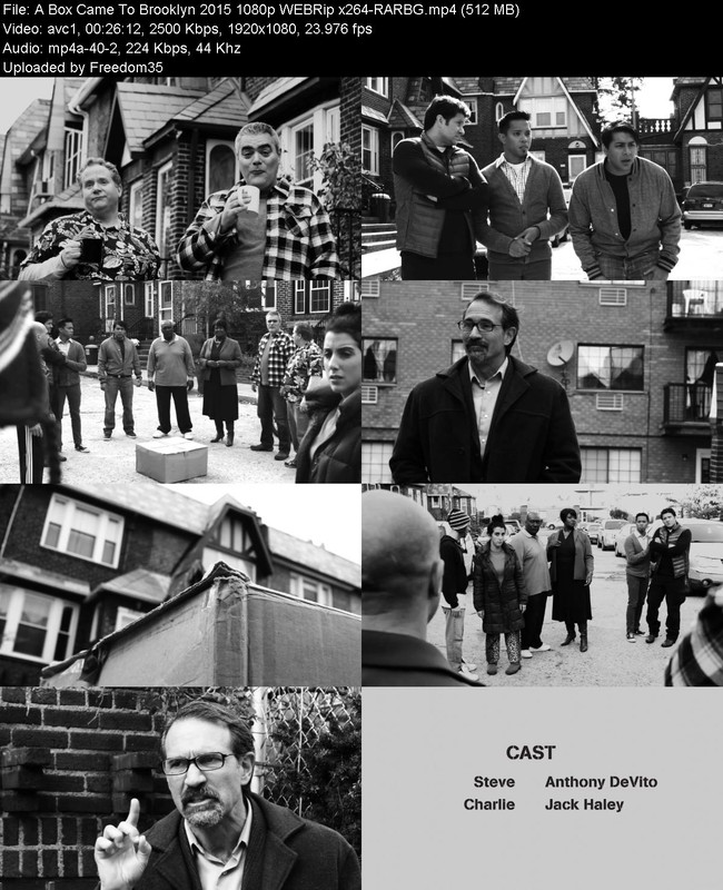 A-Box-Came-To-Brooklyn-2015-1080p-WEBRip