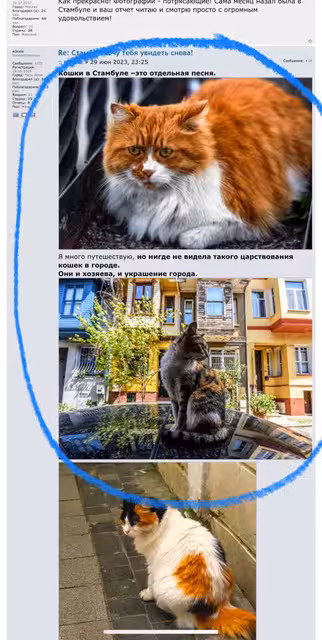Стамбул-хочу тебя увидеть снова!