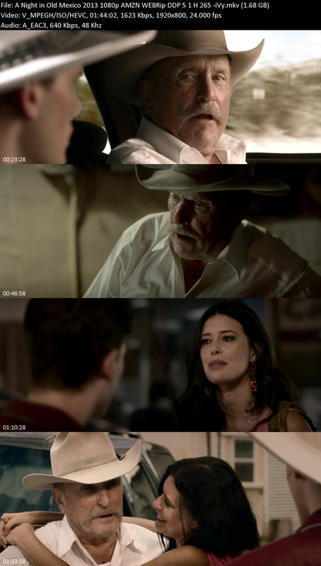 A-Night-in-Old-Mexico-2013-1080p-AMZN-WEBRip-DDP-5-1-H-265-i-Vy.jpg