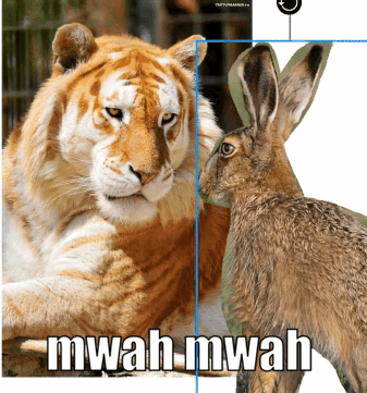 MWAHMWAH