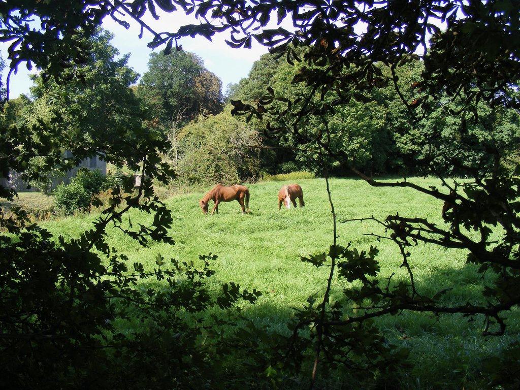 DSCF4292.jpg