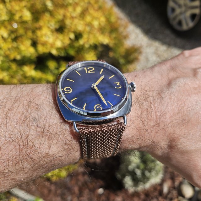 Le club des heureux propriétaires décomplexés de montres "hommage" - tome 7 - Page 15 20240526-132723