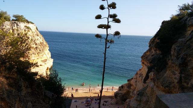 Portugal desde el Algarve hasta Lisboa - Blogs de Portugal - Portimao paseo en barco por las grutas y playas. Caldas de Monchique,  Silves. P (2)