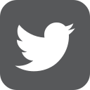 twitter icon