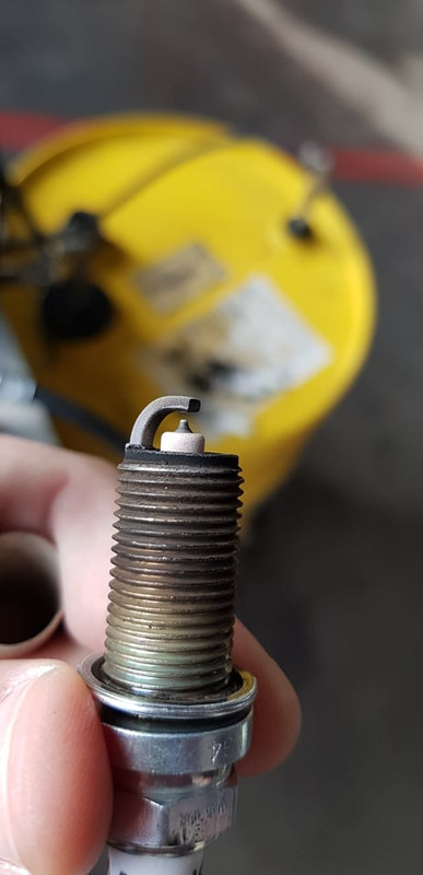 ngk oem