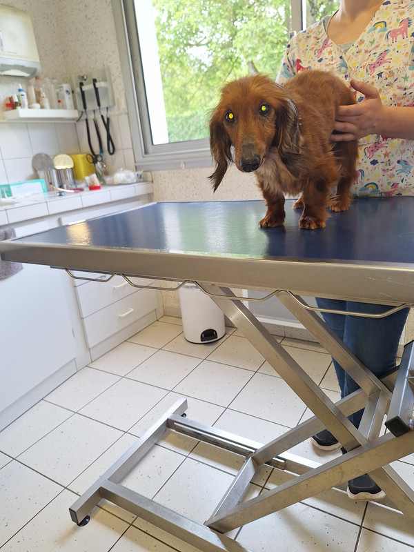 [Image: 20240524-161953.jpg]