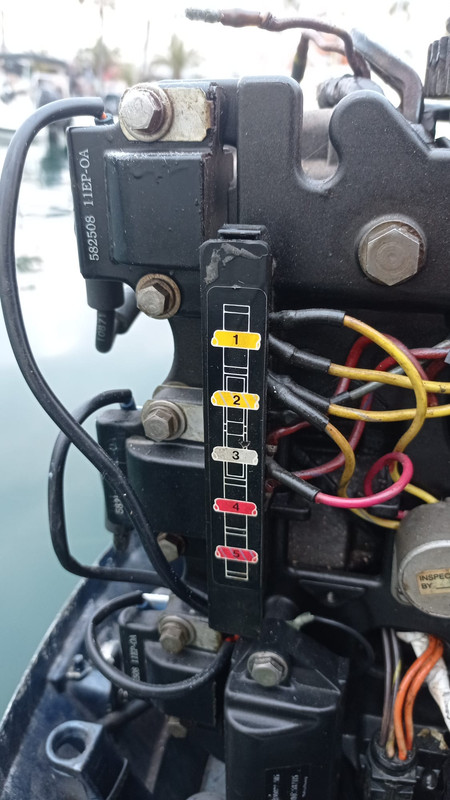 WhatsApp Image 2023-06-20 at 16.37.56