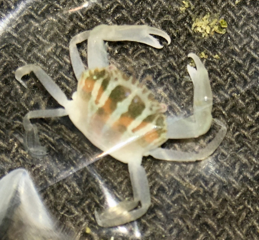 6FF21571-C191-4AD0-AD1C-A9C5B1A35BD1