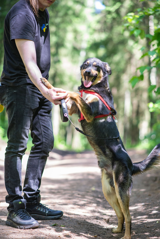 610_0633_гродно