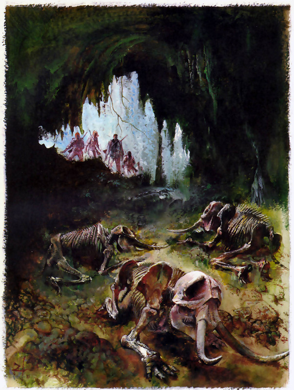 La piste des éléphants 48