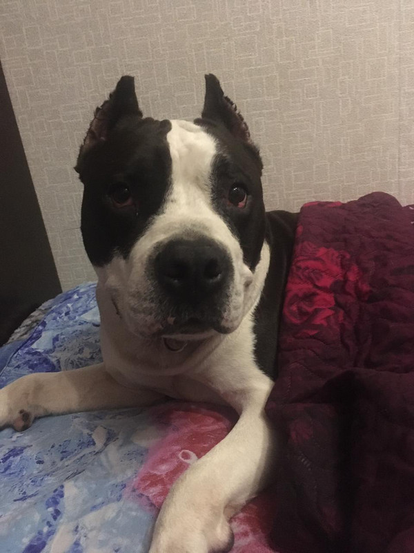 EEA9C802-5E44-4A73-AA84-9F589E7143FB