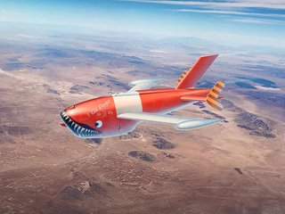 Supersonic Firebee 1/48 - Ryan BMQ-34 Firebee by ICM - Q-2A (AQM-34B & KDA-1) & Q-2C (BQM ...