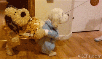 dogs-halloween-animals.gif