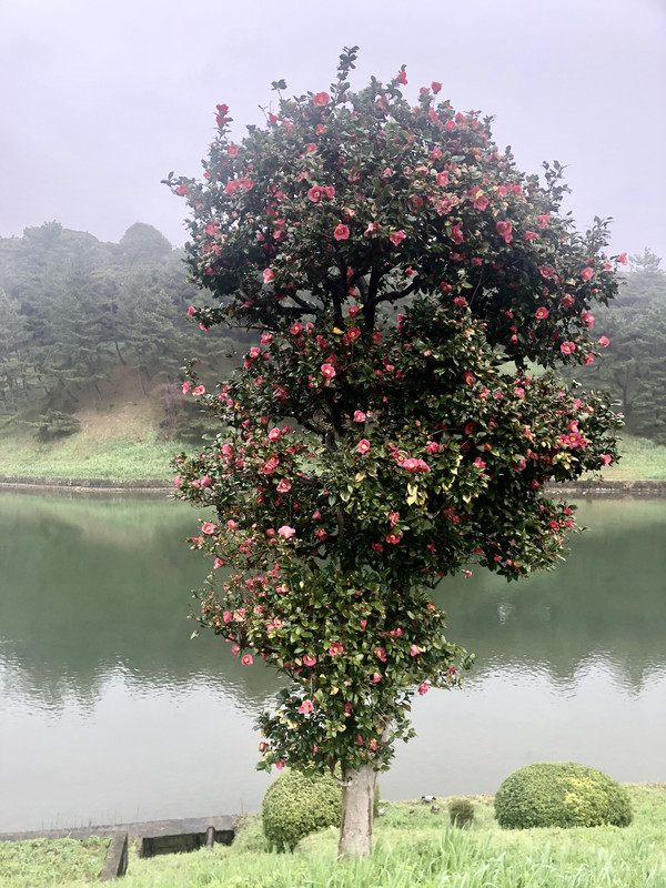 EFDDB422-4C68-4D9A-9A1E-E69D95BF3E78