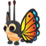Mirai Moth