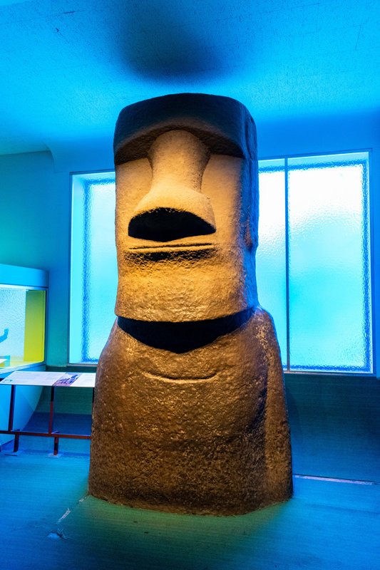 Nueva York en Septiembre - Blogs de USA - Día 3 - Museo Americano de Historia Natural y Central Park (5)