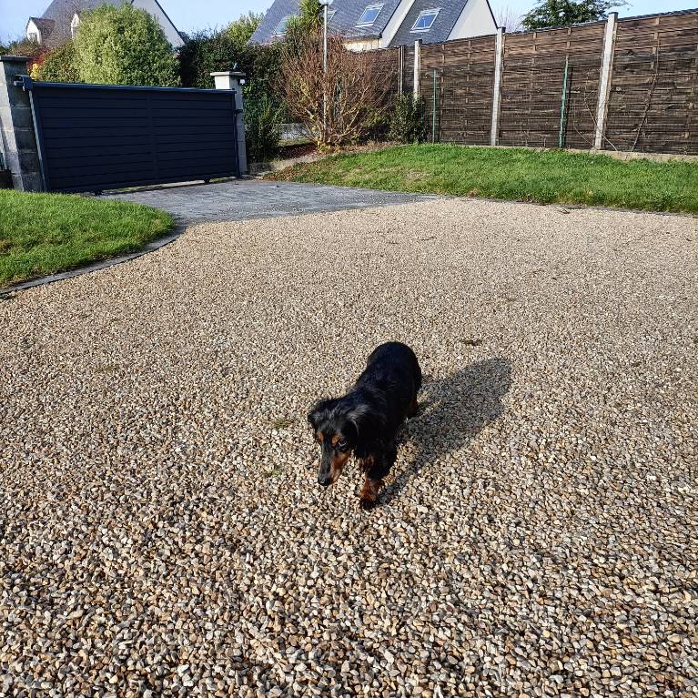 [Image: image000002-43.jpg]