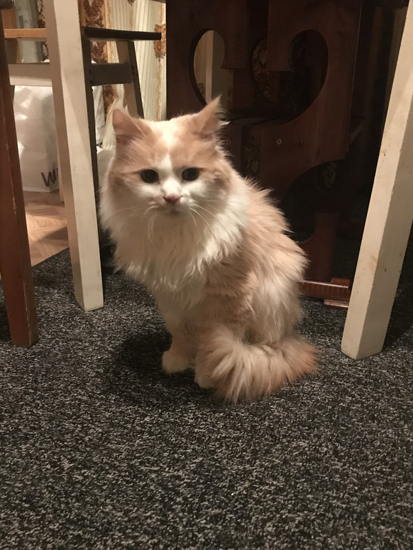 8B2603BD-76BD-432B-AE06-B42572F0EE51