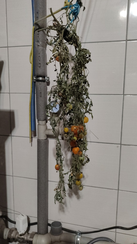 IMG-8766c95892d213ba7a110d052d1bd7bb-V