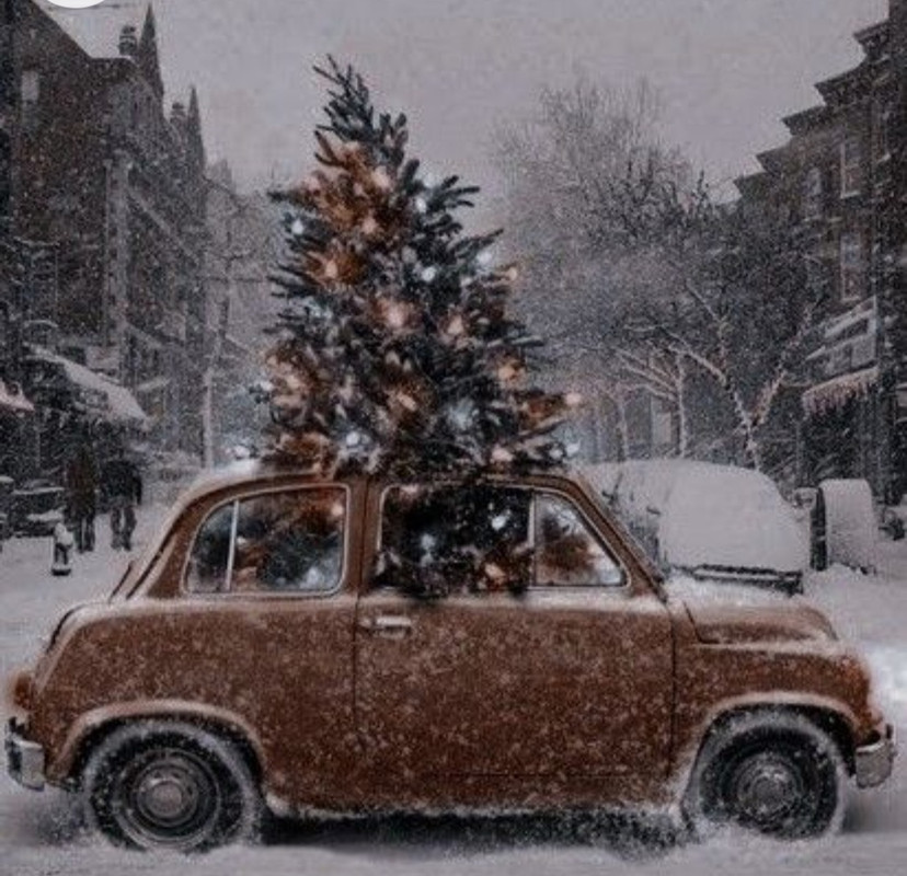 Screenshot_20221204-000259_Chrome