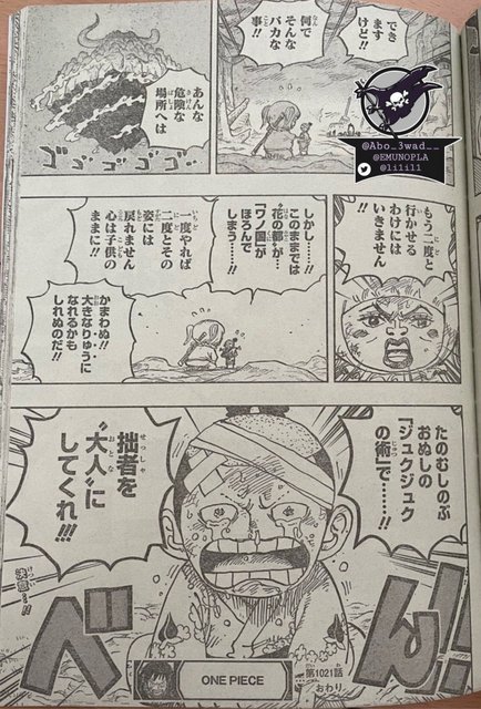 One Piece scan 1021  One piece chapter, Piecings, The pirate king